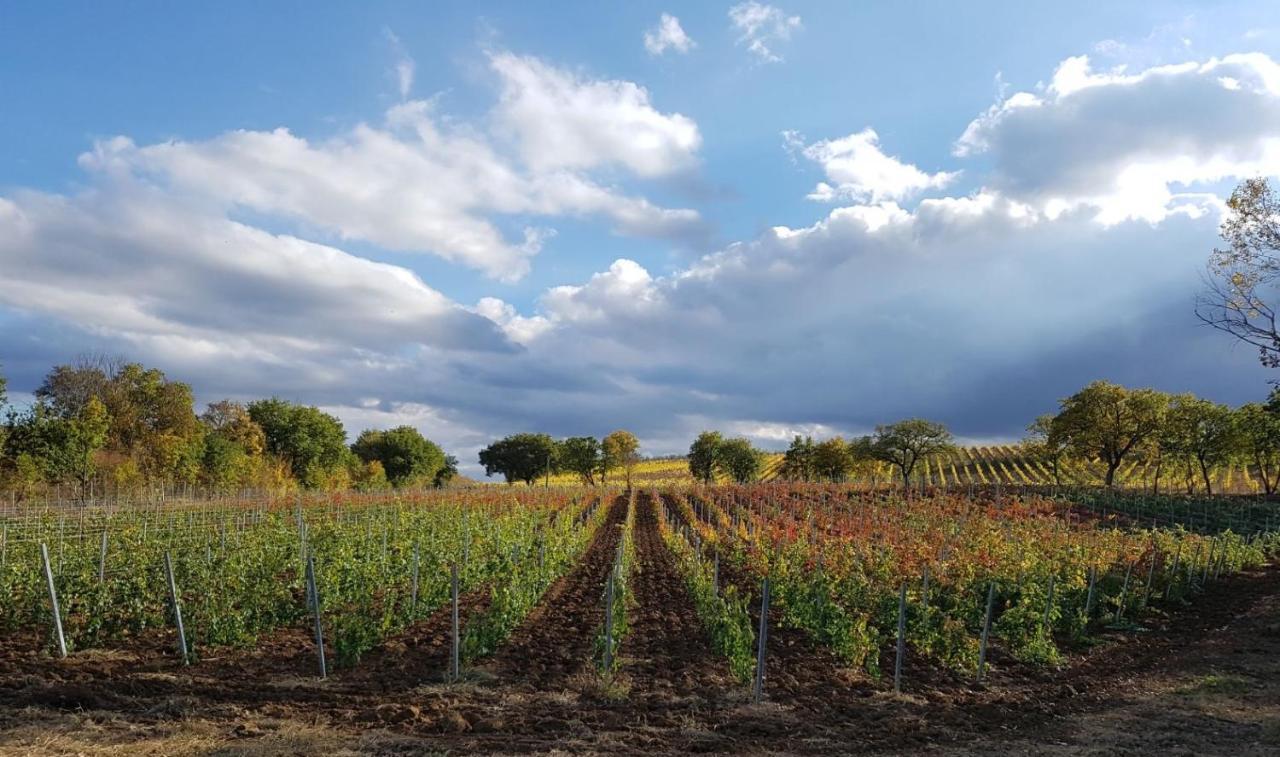 Podere Casanova & Wine Experience - Montepulciano Stazione Extérieur photo