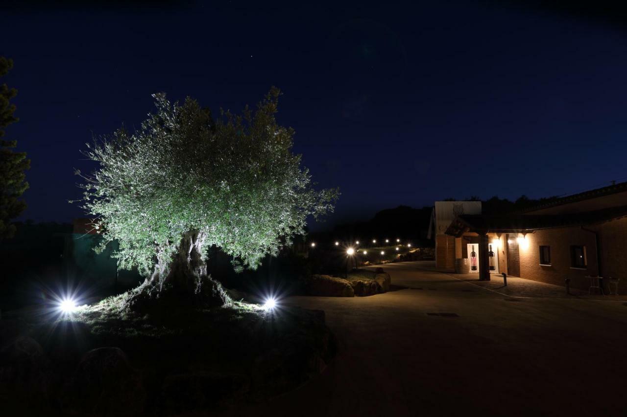 Podere Casanova & Wine Experience - Montepulciano Stazione Extérieur photo