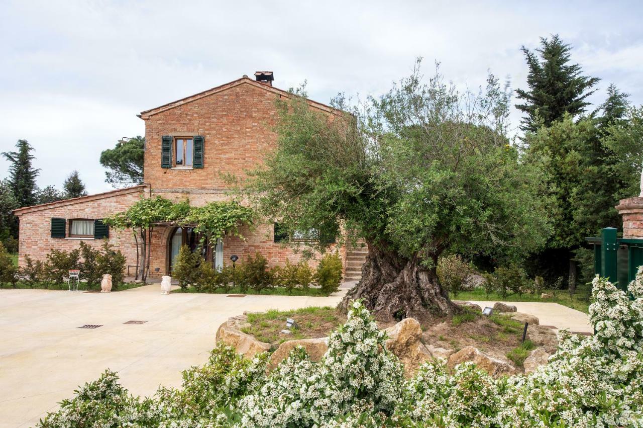 Podere Casanova & Wine Experience - Montepulciano Stazione Extérieur photo
